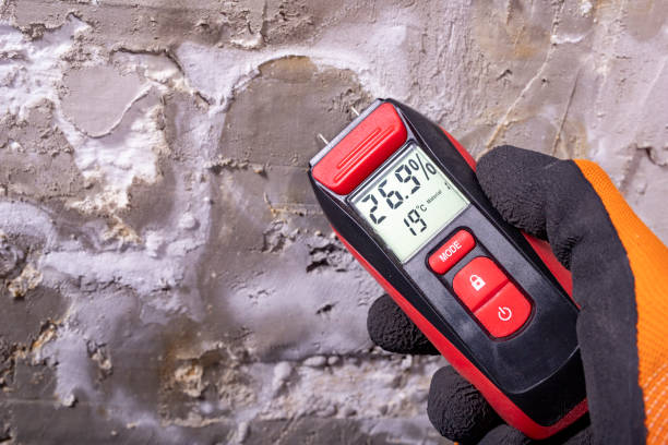 Best Certified Mold Removal  in Algoma, WI