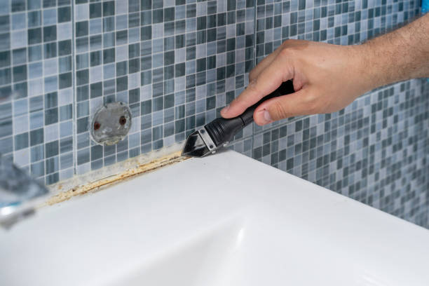 Best Home Mold Removal  in Algoma, WI